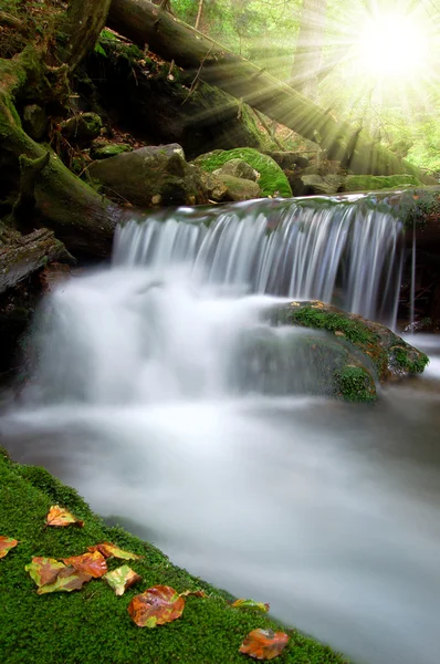 Водопад в национальном парке Сумава — стоковое фото