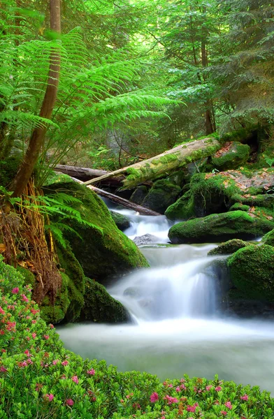 stock image Waterfall in the national park Sumava