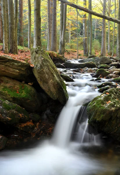 Herbstbach — Stockfoto