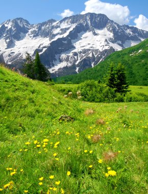 Mountains of Passo Tonale-Italy clipart