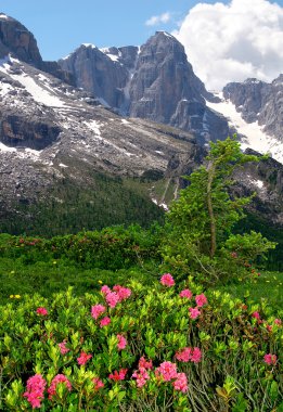 Brenta-Dolomites Italy clipart