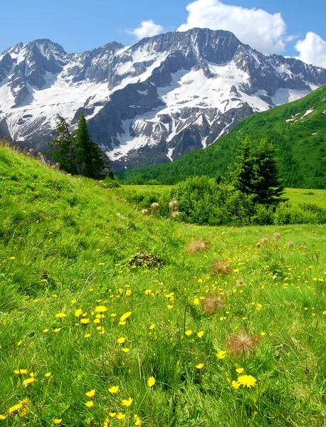 Montanhas de Passo Tonale-Itália — Fotografia de Stock