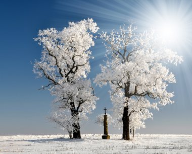 Winter tree clipart