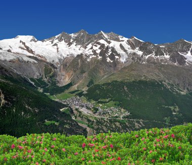 SaaS fee, İsviçre