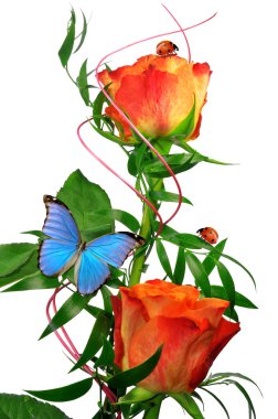 Orange rose with butterfly and ladybugs clipart