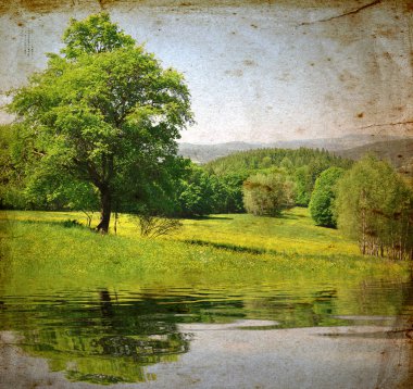 Grunge spring landscape clipart