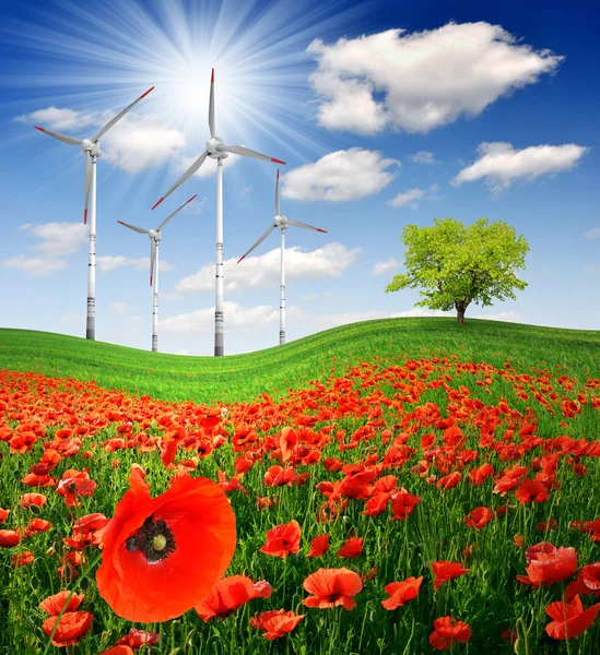 Spring landscape with wind turbines — Stock Photo, Image