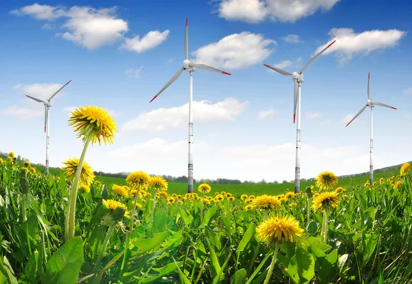 Turbine eoliche su campi di tarassaco — Foto Stock