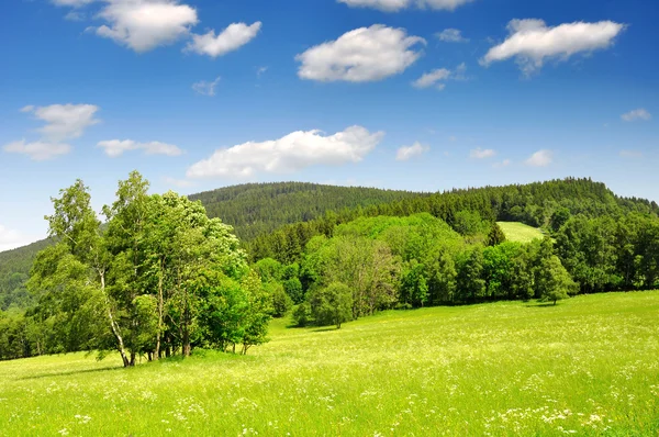 Lente landschap in Tsjechische Republiek — Stockfoto