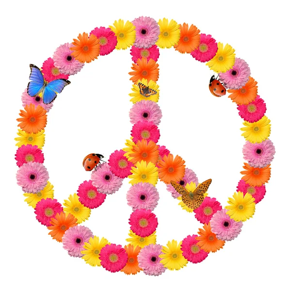 平和・ フラワーのシンボル — ストック写真