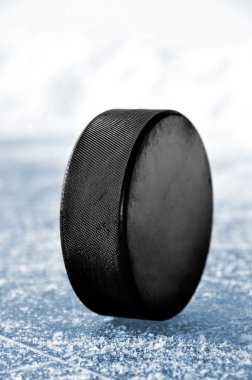 Hokey Puck