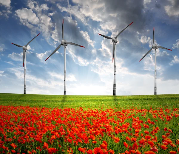 Campo de amapola roja con turbina eólica — Foto de Stock