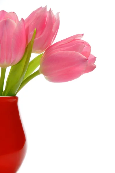 Tulipas cor-de-rosa em vaso vermelho — Fotografia de Stock