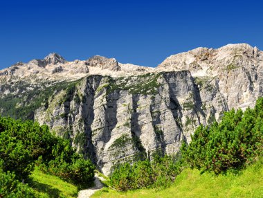 Julian Alps, Slovenia clipart