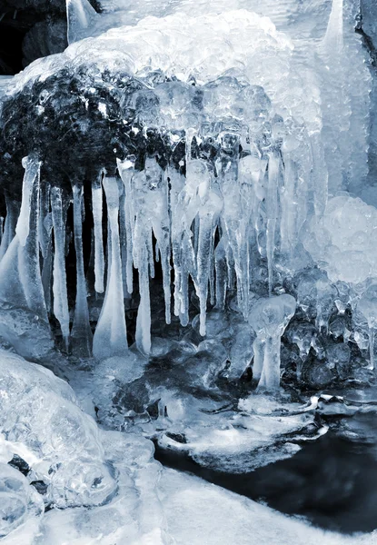 Cala de invierno — Foto de Stock