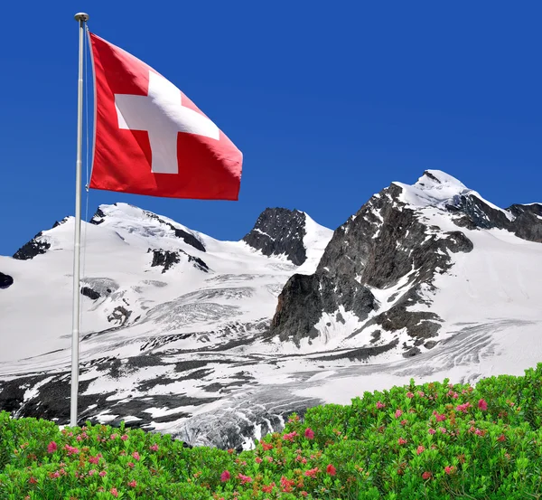 Strahlhorn, rimpfischhorn und allalinhorn - Schweizer Alpen — Stockfoto