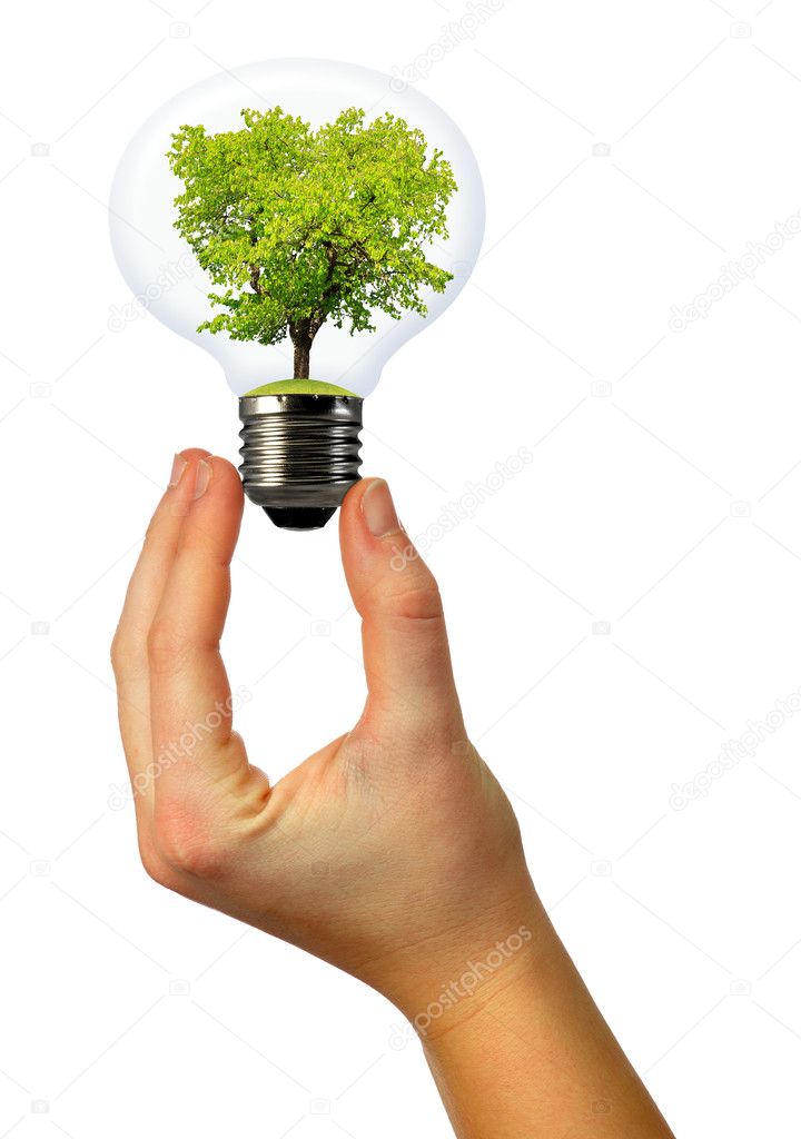 Green tree growing in a bulb