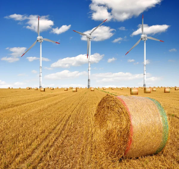 Солом'яні тюки на сільськогосподарських землях з вітровими турбінами — стокове фото