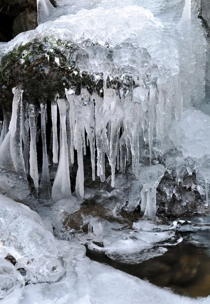 stock image Winter creek