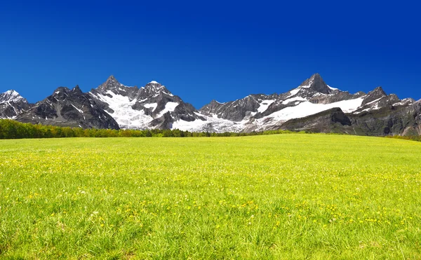 Ober Gabelhorn e Zinalrothorn — Fotografia de Stock