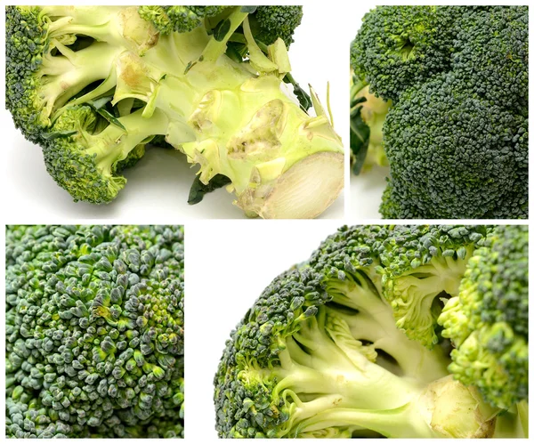 Broccoli colage — Stockfoto