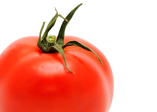 1番茄 — 图库照片