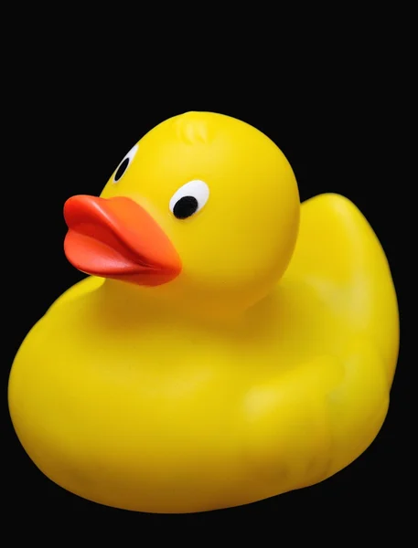 Plastic duck
