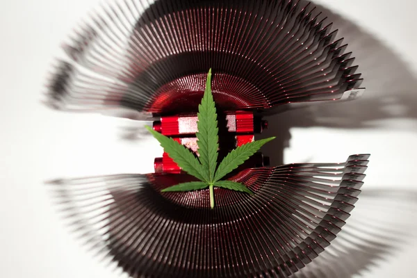 List of marijuana lying on a metal object — Stock Photo, Image
