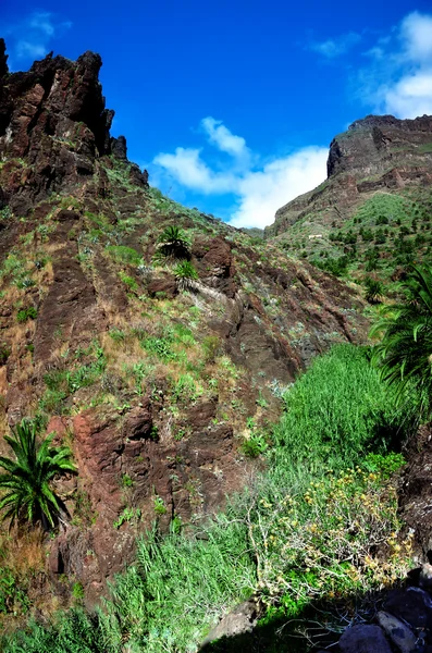 Montaña alta — Foto de Stock