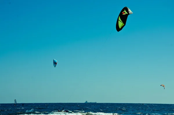 Sea Kites — Stock Photo, Image