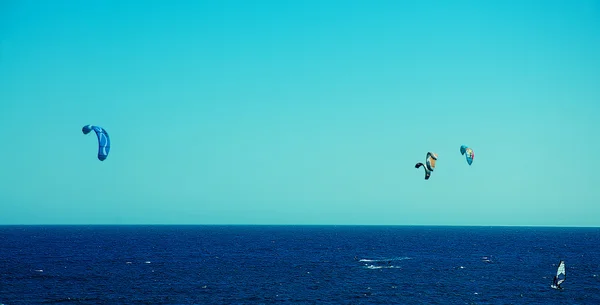 Água, formiga do céu Kites com windserf — Fotografia de Stock