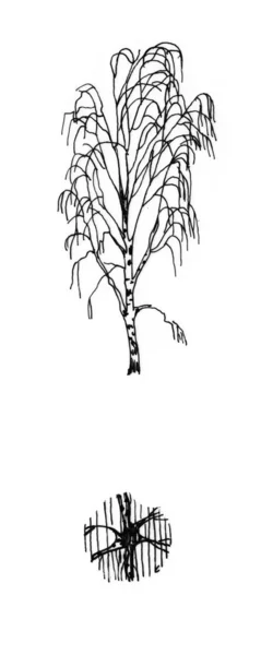 Ein Baum — Stockfoto