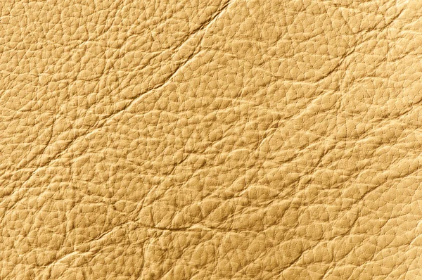 Textura de couro marrom elegante — Fotografia de Stock
