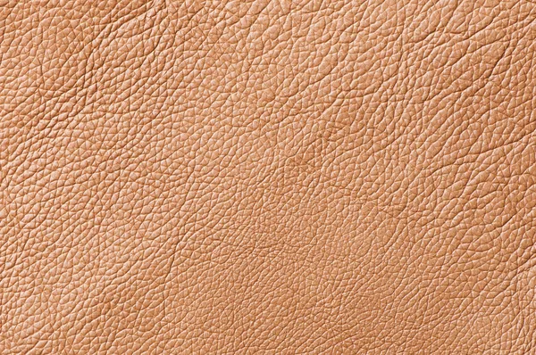 Texture élégante en cuir marron — Photo