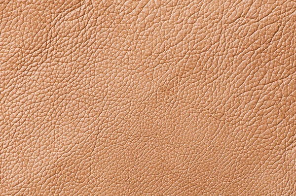 Elegant brown leather texture Royalty Free Stock Photos