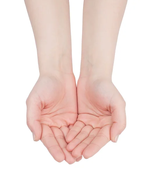 Hands cupped together on white — Stock Photo, Image