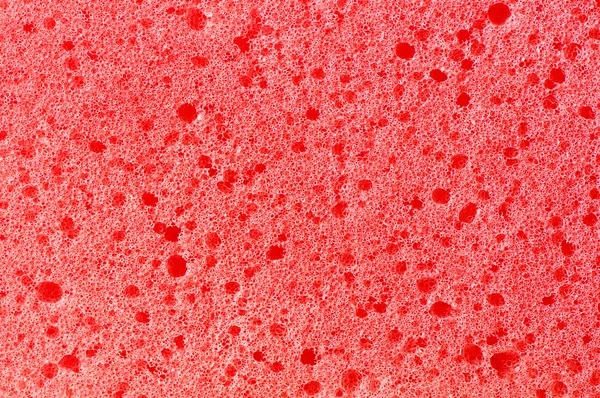 stock image Sponge texture