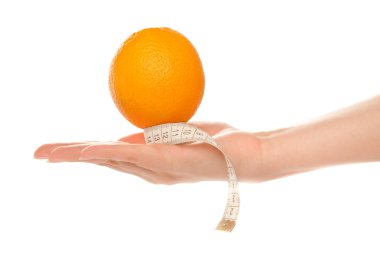 Woman's hand holding orange clipart