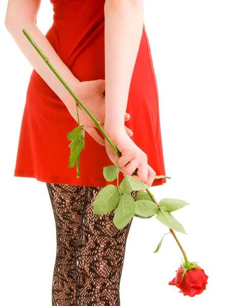 Chica sosteniendo una rosa — Foto de Stock