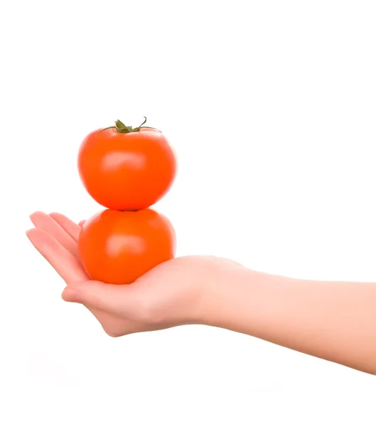 Mão de mulher segurando dois tomates vermelhos — Fotografia de Stock