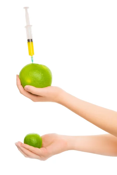 Vrouw handen met twee citruses — Stockfoto