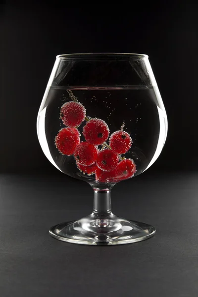 Wine glass with sparkling water and red currant — Stock Photo, Image