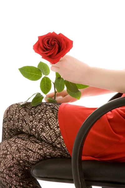 Дівчина тримає троянду — стокове фото