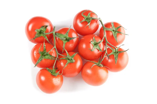 Tomatoes — Stock Photo, Image