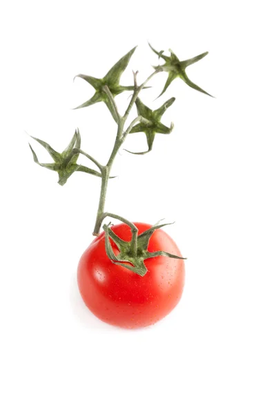 Kırmızı domates beyaz üzerine izole edilmiş. — Stok fotoğraf