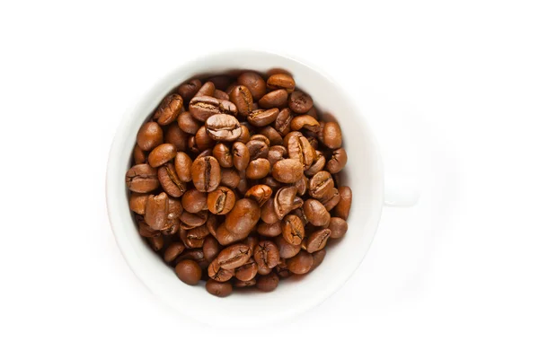 Чашка семян кофе — стоковое фото