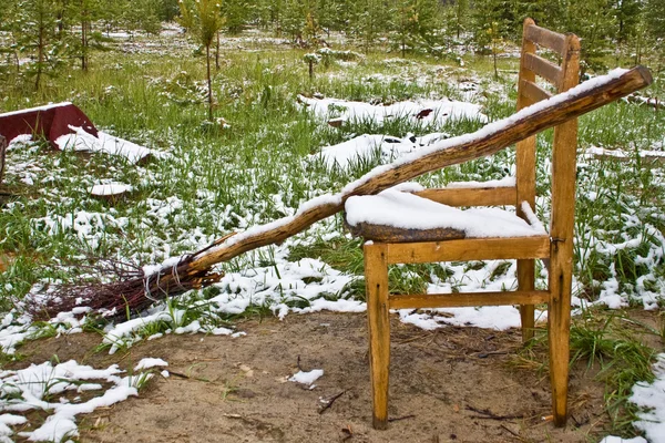 stock image Broom and chair in forest