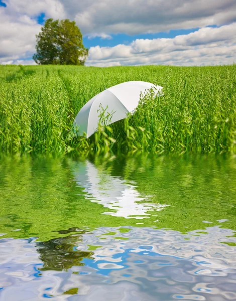 Parapluie blanc — Photo