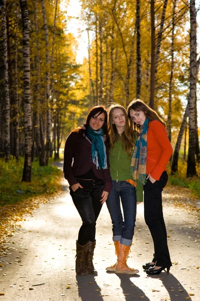 Tres hermosas chicas en el parque — Foto de Stock