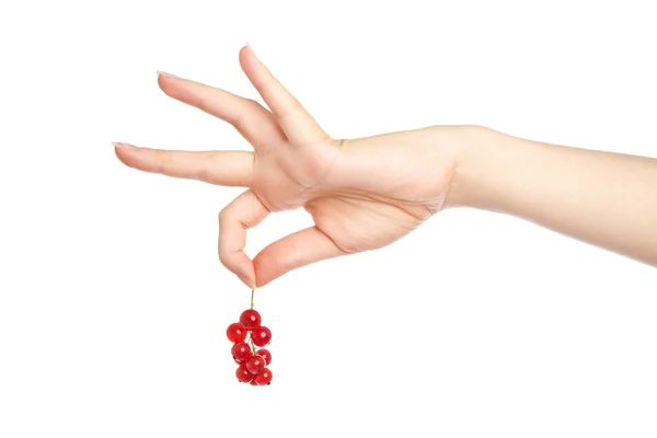 Kvinnans händer med röda vinbär — Stockfoto